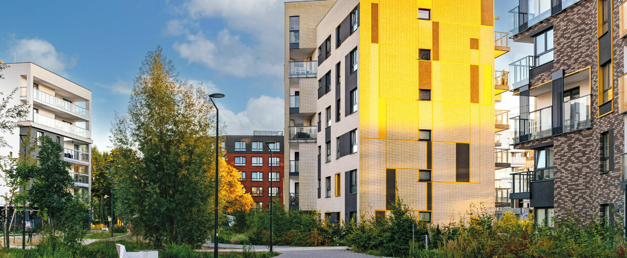 Ausgabe Nr. 38 / Dezember 2024 PROMOS Fachmagazin Informationstechnologie & Immobilien (IT&I) Ausgabe Nr. 38