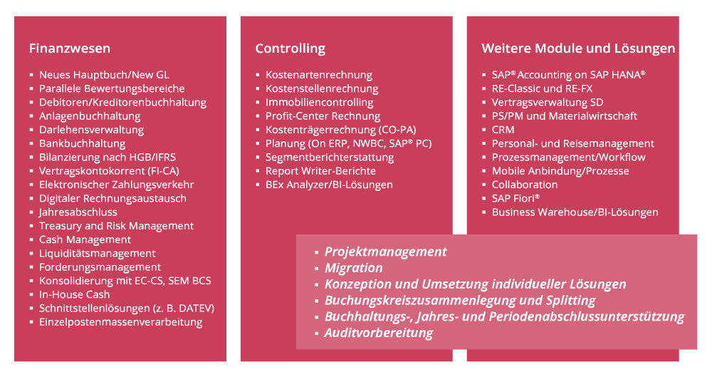 PROMOS Beratungsportfolio im Bereich Consulting Financials für SAP