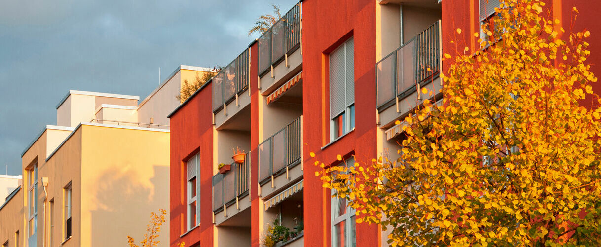 Ausgabe Nr. 36 / Oktober 2023 PROMOS Fachmagazin Informationstechnologie & Immobilien (IT&I) Ausgabe Nr. 36